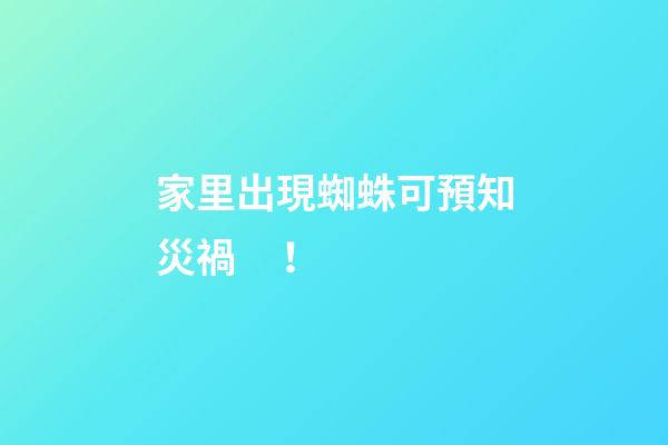 家里出現蜘蛛可預知災禍！
